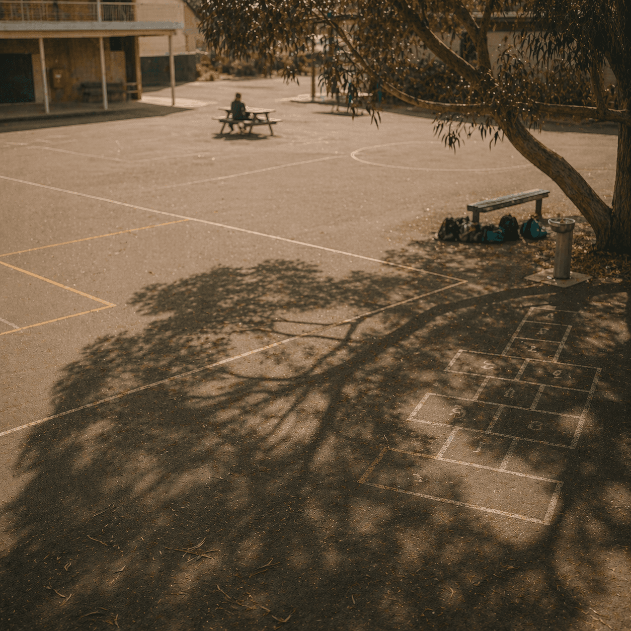 Quiet primary-school quadrangle with faded hopscotch markings and gum-tree shadow.