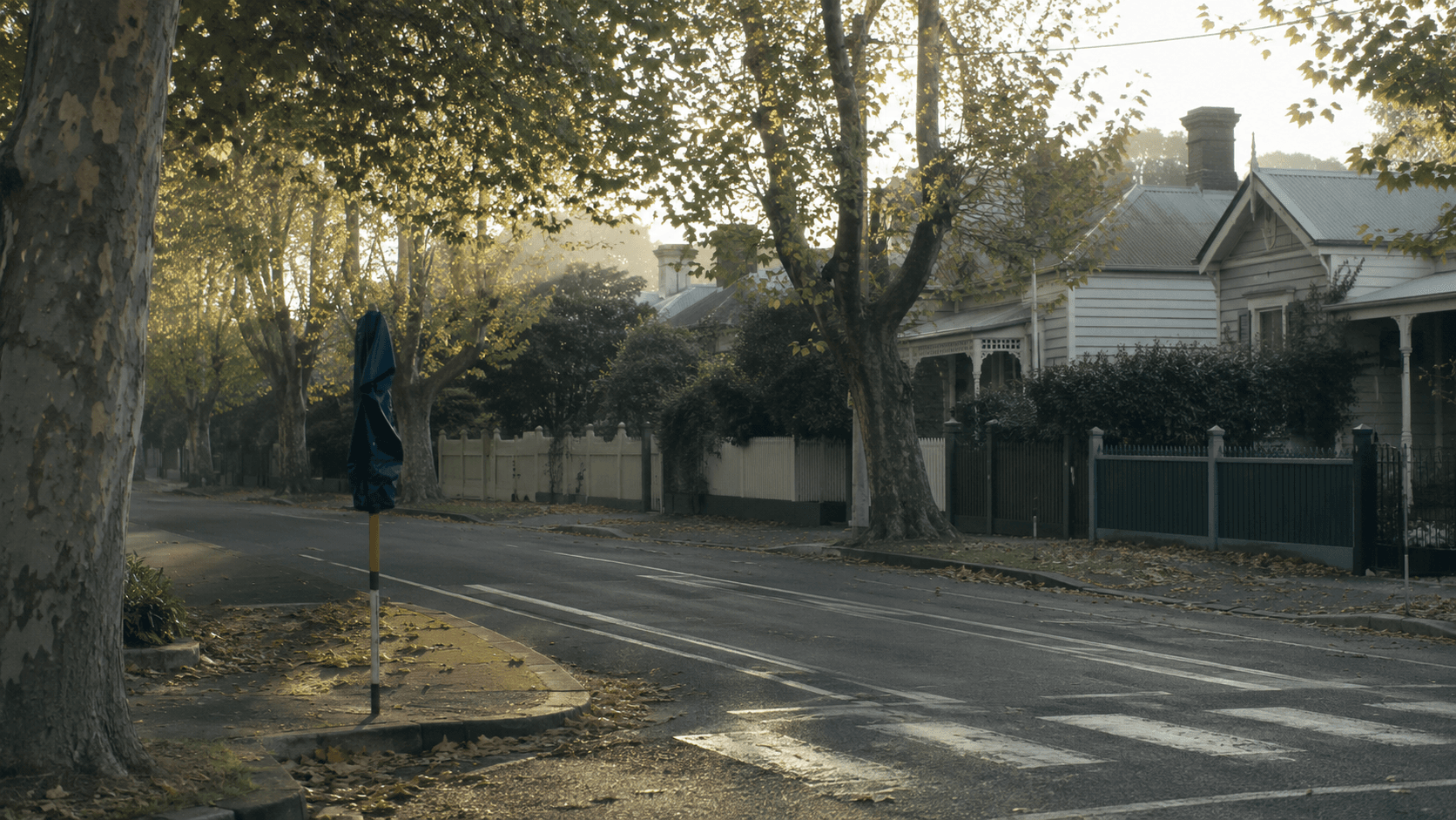 A leafy Melbourne street in early morning light, a furled school crossing flag by the kerb.